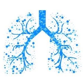 Pulmonology
